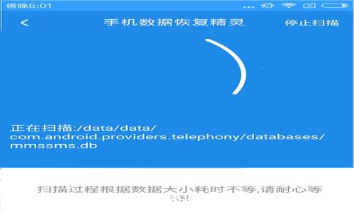 USDT存放在哪个钱包最安全？全面解析与推荐